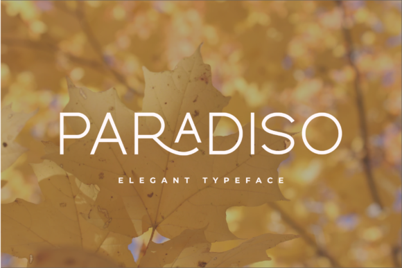 Paradiso Typeface: A Modern Script for Editorial Design