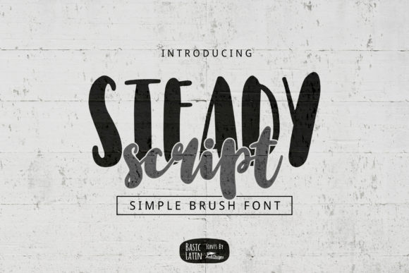 Steady Script Font Review for Campaigns